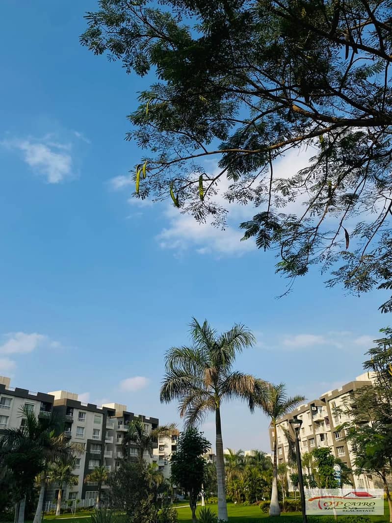 12 IMG-20251111-WA0319. jpg