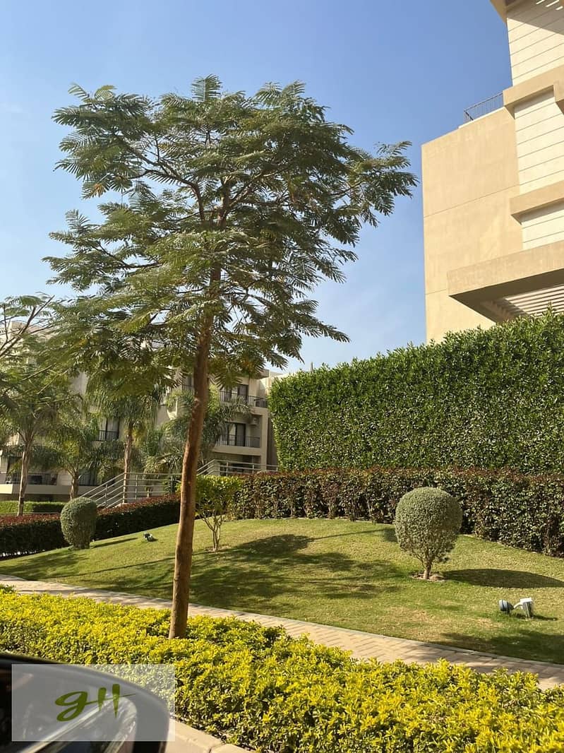 8 a07b6654-62d8-4136-9e04-c3e3798ce28f. jpg