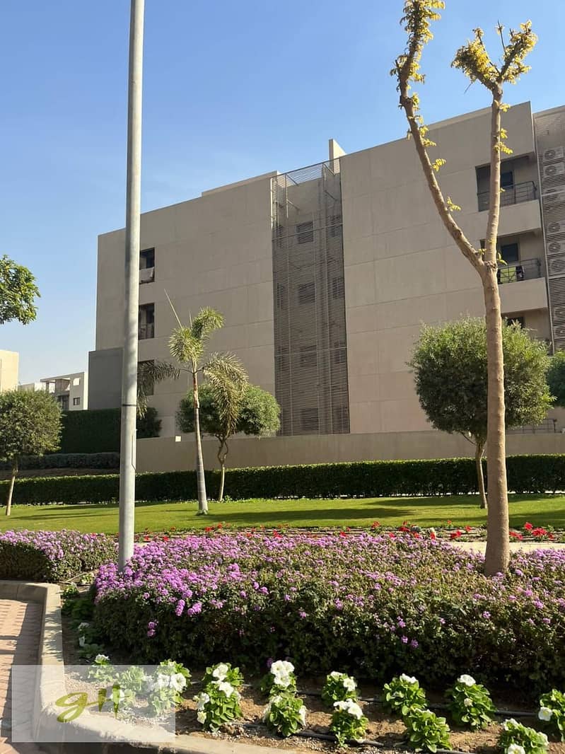 12 447843384_439072585751340_3769942309752756505_n. jpg