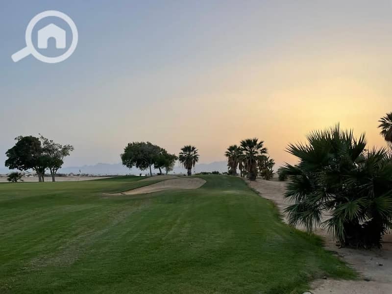 3 16cfd308-f38f-416f-a995-f1d4cc9c24d8. jpg