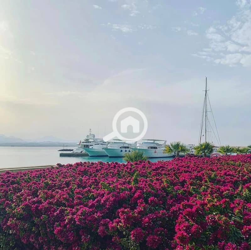 6 401720184_260023270388367_4785371935837141691_n. jpg