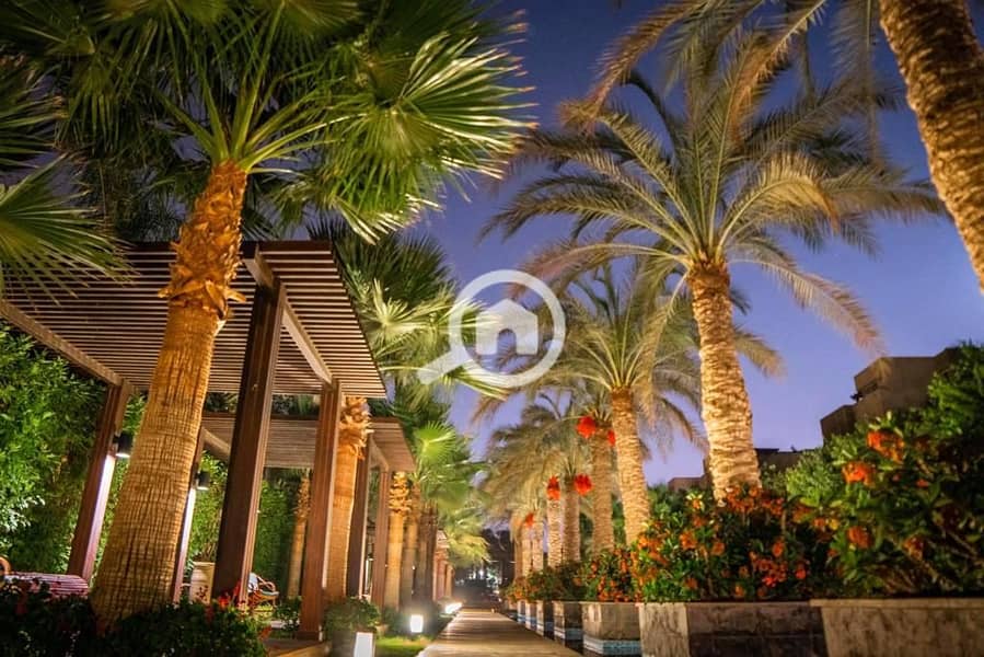 7 WhatsApp Image 2026-01-19 at 12.38. 46. jpeg