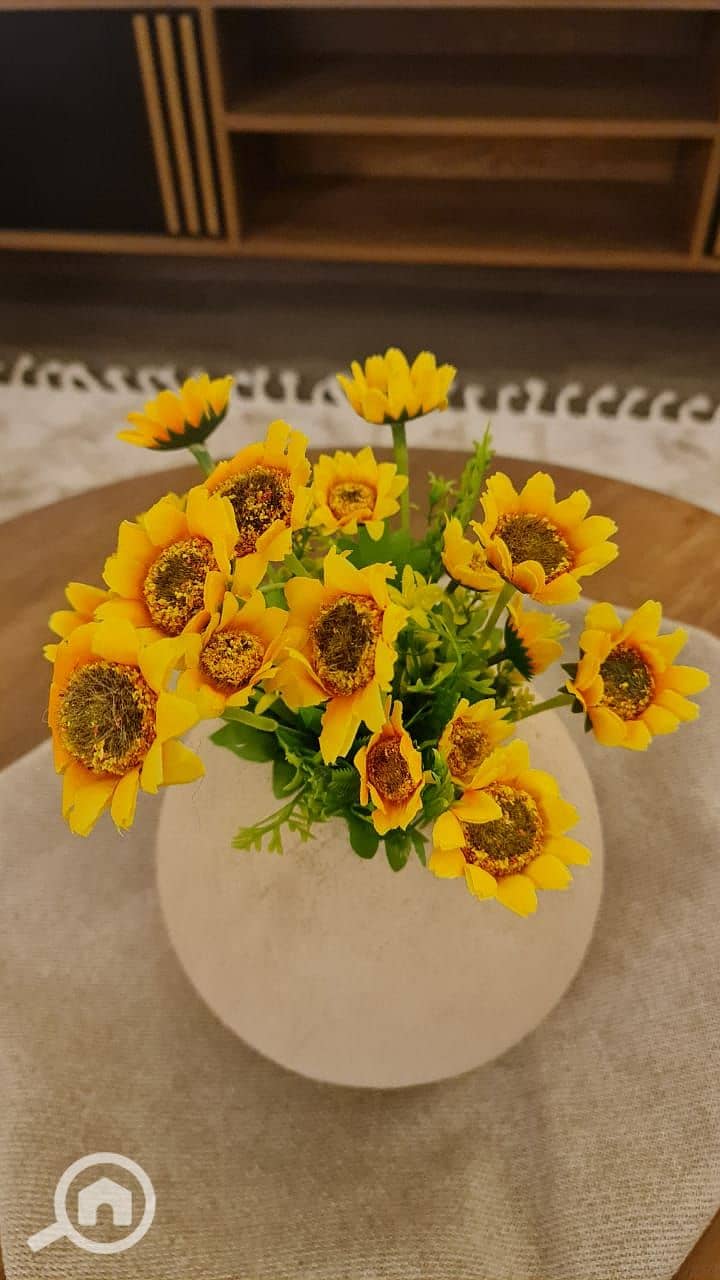 15 WhatsApp Image 2026-01-19 at 12.38. 42 (1). jpeg