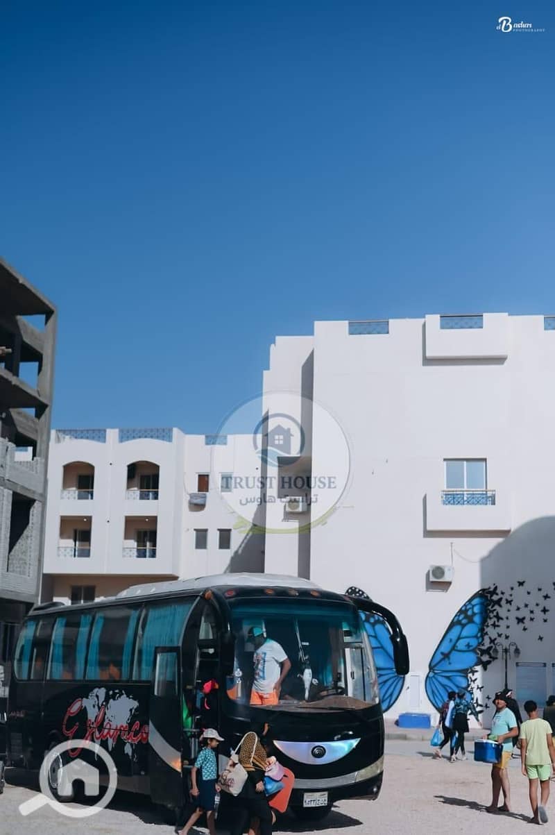 3 WhatsApp Image 2026-01-02 at 22.20. 14 (4). jpeg