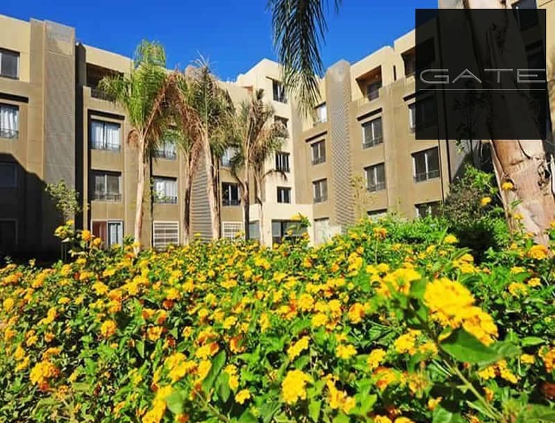 3 26e81d1d-4772-47d5-b390-8ad7f149033c. jpg