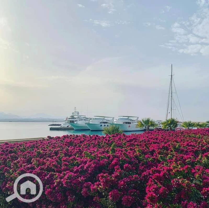 6 401720184_260023270388367_4785371935837141691_n. jpg