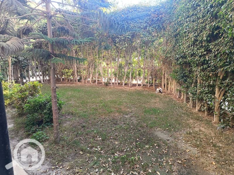 16 612396334_1525484709580100_2961259901795480835_n (2). jpg