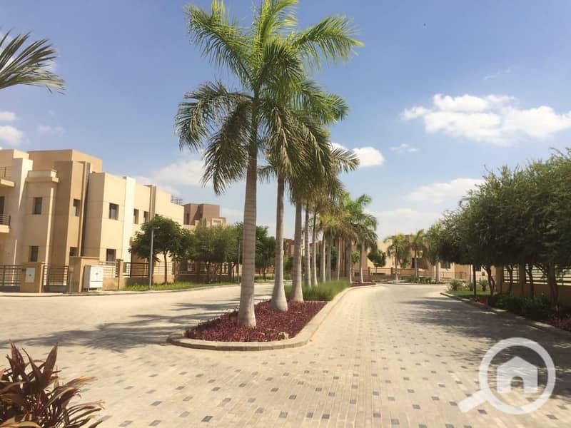 6 984de973-a704-4c19-9526-14b356796c42. jpg