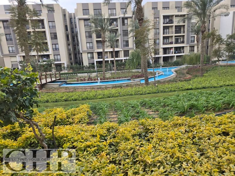 4 648d5beb-e0d6-410a-9183-0ca0313b989b. jpg