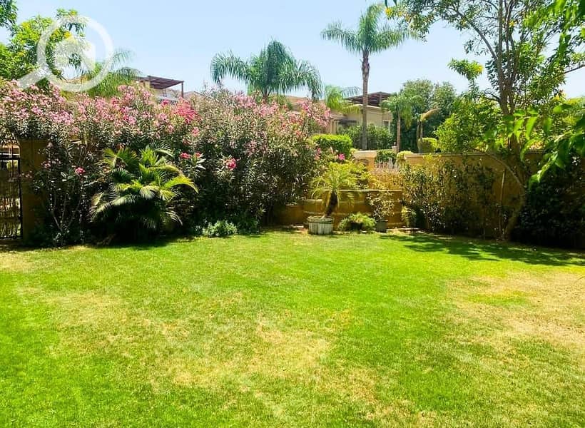 8 91ea0994-5de3-46e9-9c94-7cc8d13ce49a. jpeg