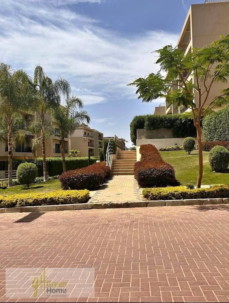 6 615802736_2655854741437175_2526683511265330714_n. jpg