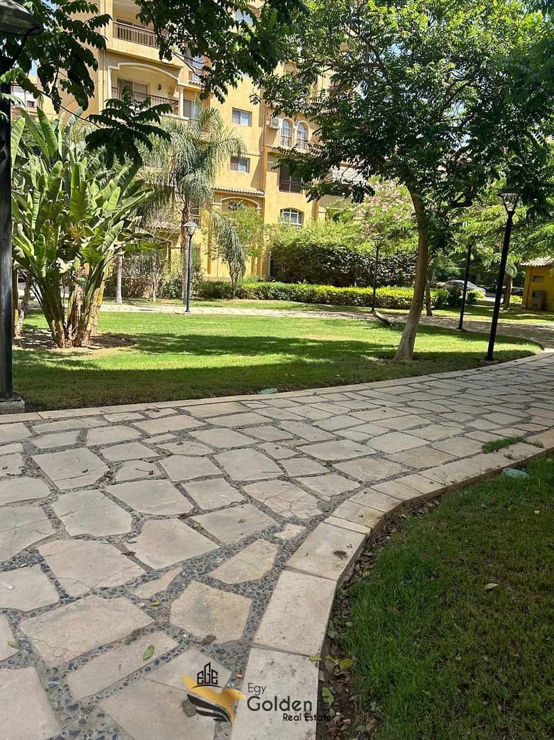 7 615823394_1559931805237346_1056876776090703431_n. jpg