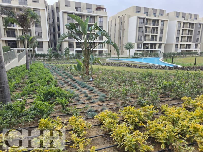 10 6028d221-b8a9-4e4a-8957-73fc00a109f9. jpg