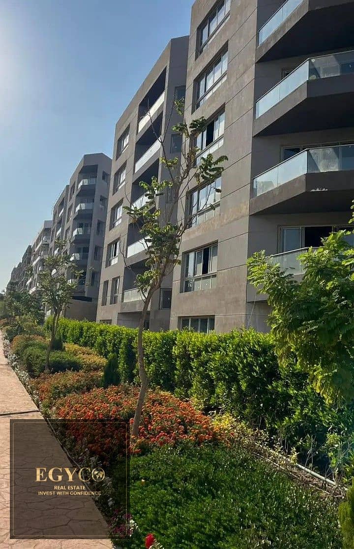 4 33837492-800x600. jpg