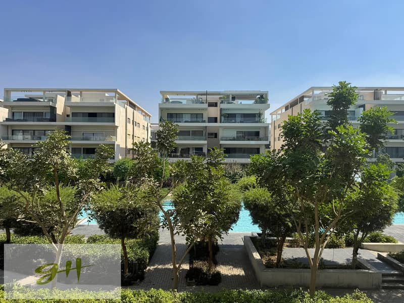 14 518357425_122123380136892099_776657788884623607_n. jpg