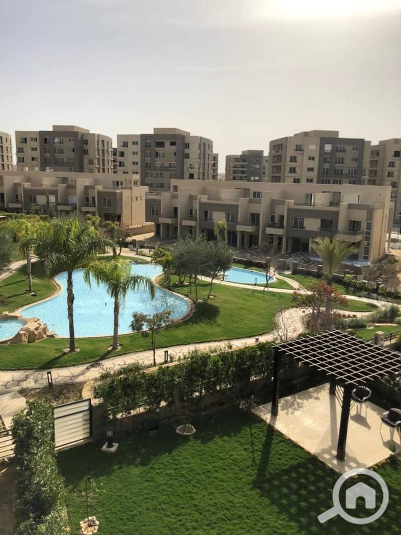 8 501757098_122231722844193478_7857296457132593034_n. jpg