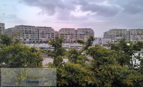 3 Bedroom iVilla for Sale in New Cairo, Cairo - IMG-20251230-WA0164. jpg