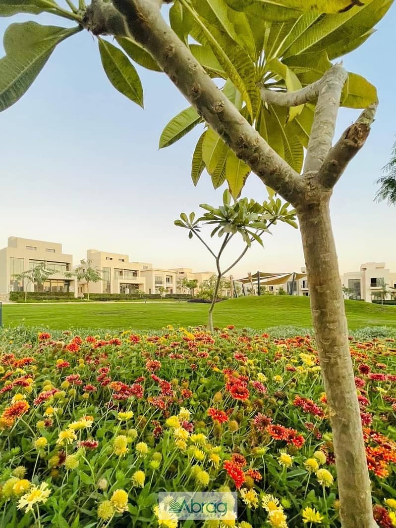 10 7015dc4c-9b35-47c7-a321-f0a779330e6a. jpg