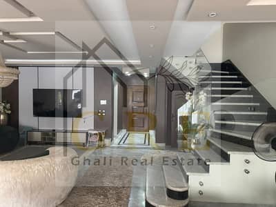 4 Bedroom Twin House for Sale in Sheikh Zayed, Giza - 16d2211a-69d6-475a-9bf8-584554d8944c. jpg