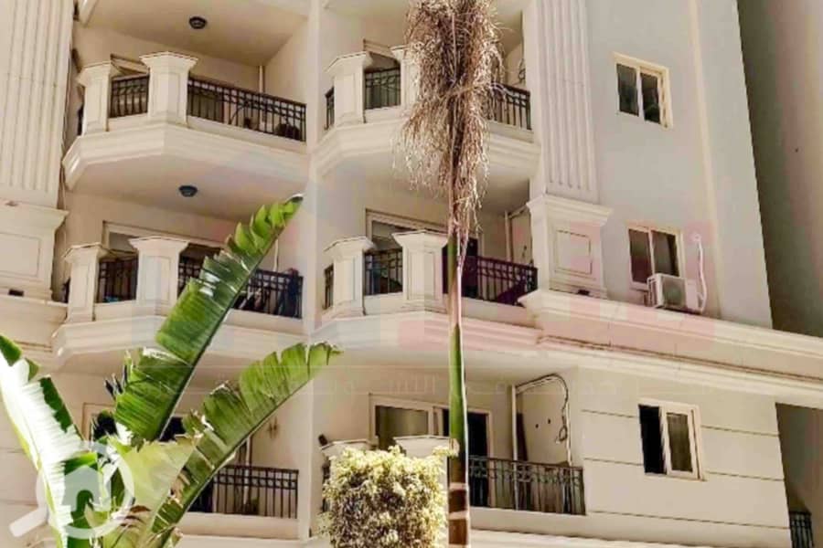 3 WhatsApp Image 2026-01-11 at 2.16. 14 PM (1). jpg