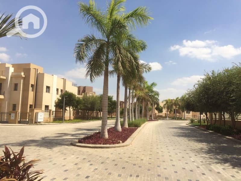 6 984de973-a704-4c19-9526-14b356796c42. jpg