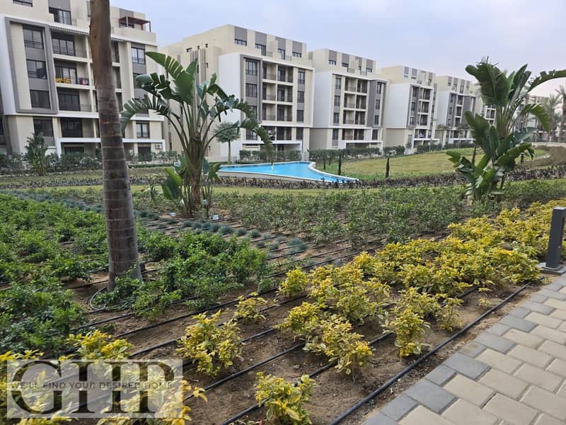 9 8ba65f99-dfea-40d4-9fd0-6e3b1ffe1b5d. jpg