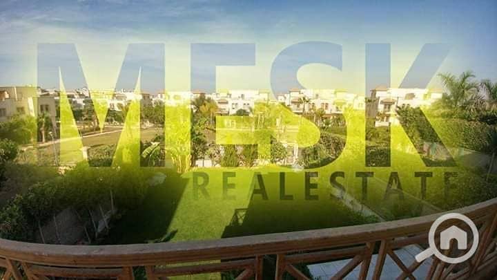 2 82580586_812383135851716_5970976350805164032_n. jpg