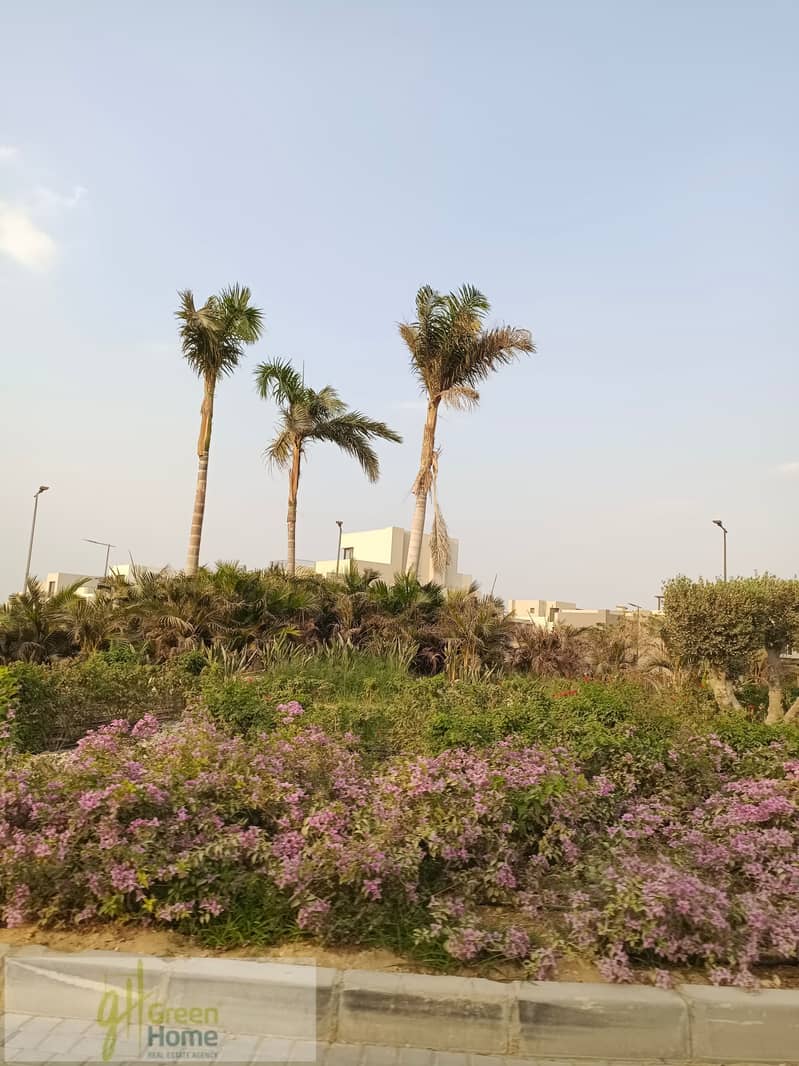 9 IMG_20231009_165833. jpg