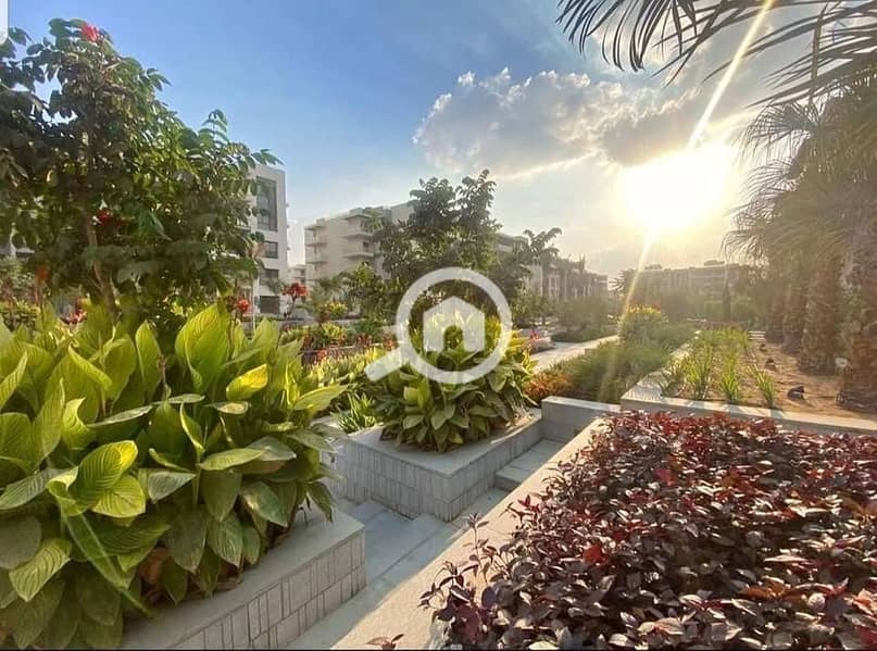 9 463330959_2875970319226977_8690610566918113766_n. jpg