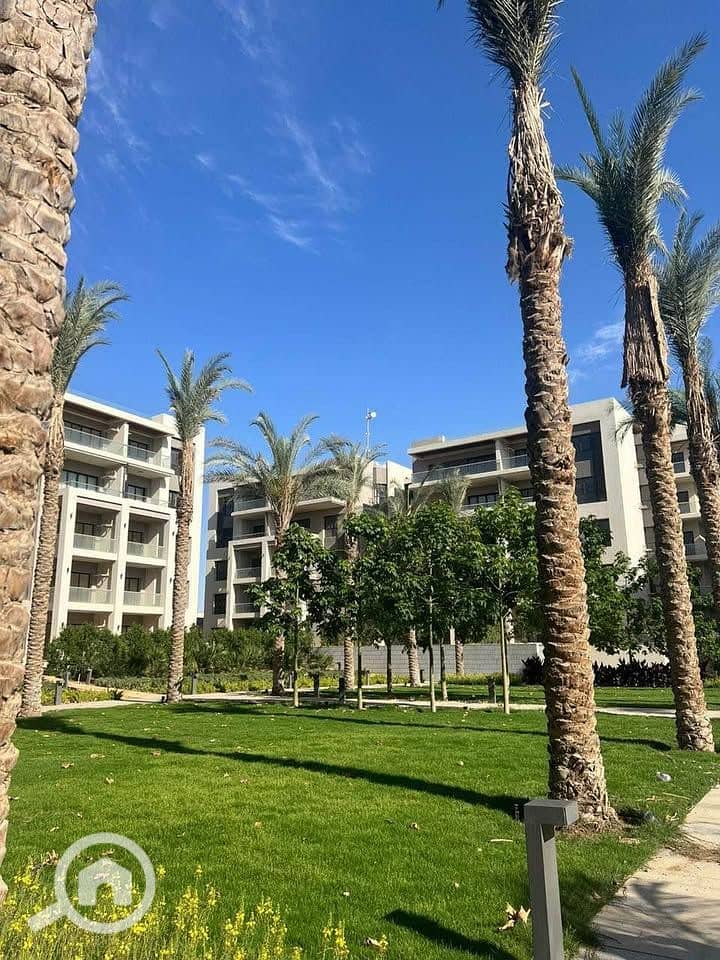 11 466251004_1281276959542383_5487134064853838588_n. jpg