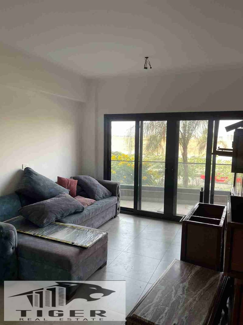 1000055096. jpg 1000055096. jpg