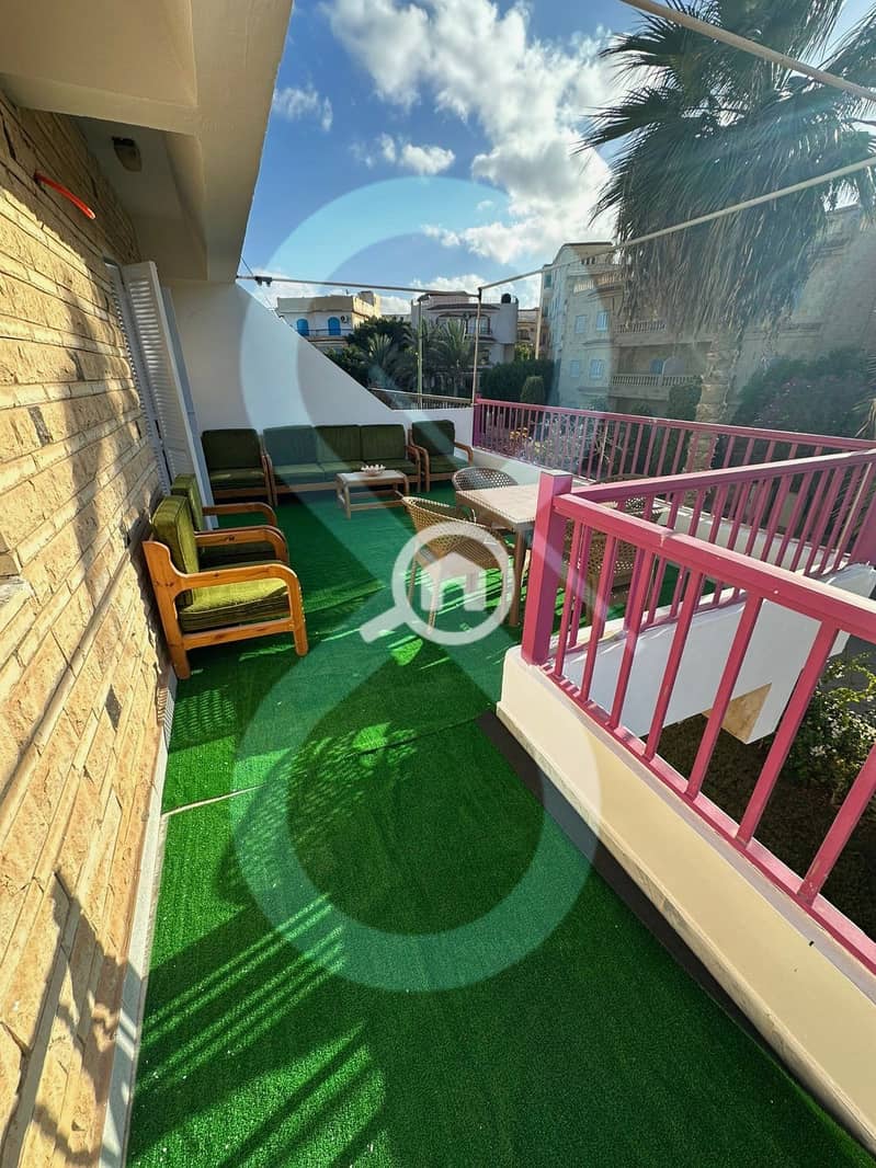 4 PHOTO-2026-01-14-16-17-11. jpeg