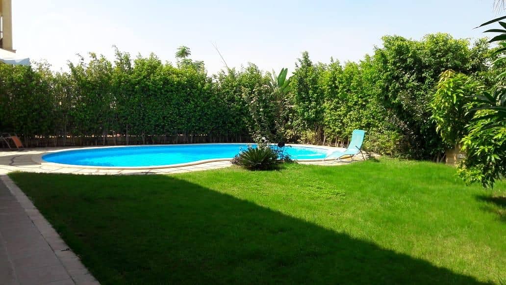 11 8347267f-c56c-4bc8-969b-a9e5088ec3f7. jpg