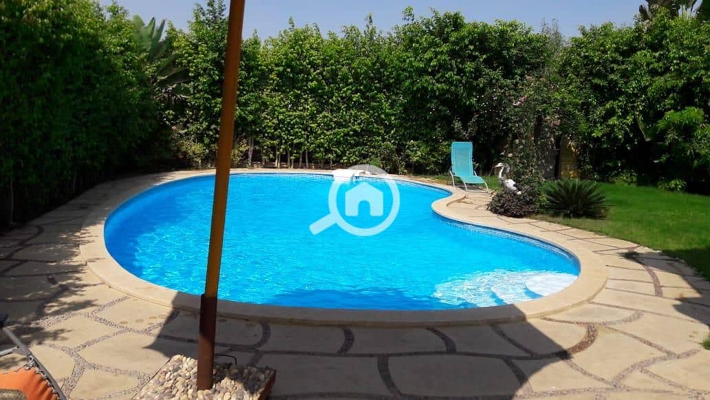 20 ec0003a6-faa2-41e0-b249-df1870a02fdd. jpg