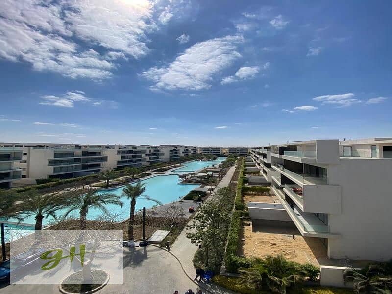 4 476600233_122123805974408564_7768350953498786590_n. jpg