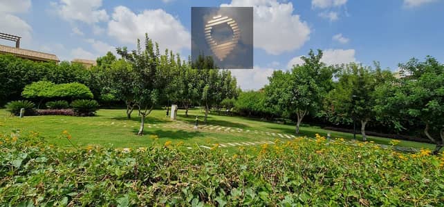 3 Bedroom Villa for Rent in Madinaty, Cairo - WhatsApp Image 2026-01-17 at 5.48. 19 PM (1). jpeg