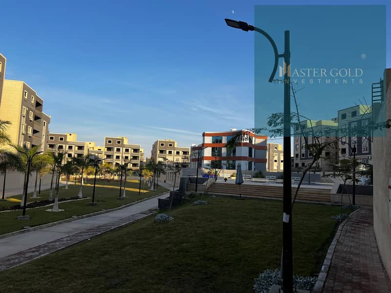 16 590769448_874583268836847_550508274946147782_n. jpg