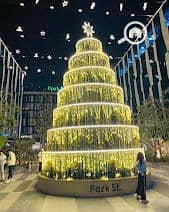 10 WhatsApp Image 2025-12-20 at 12.46. 43 PM (1). jpeg