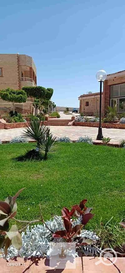 7 160929140-400x300. jpeg