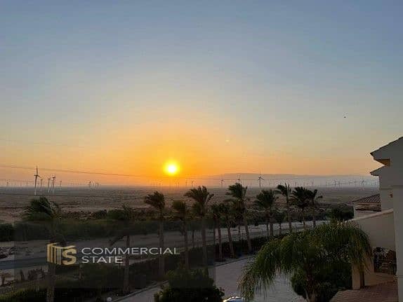 43 WhatsApp Image 2026-01-19 at 11.44. 16 AM. jpeg