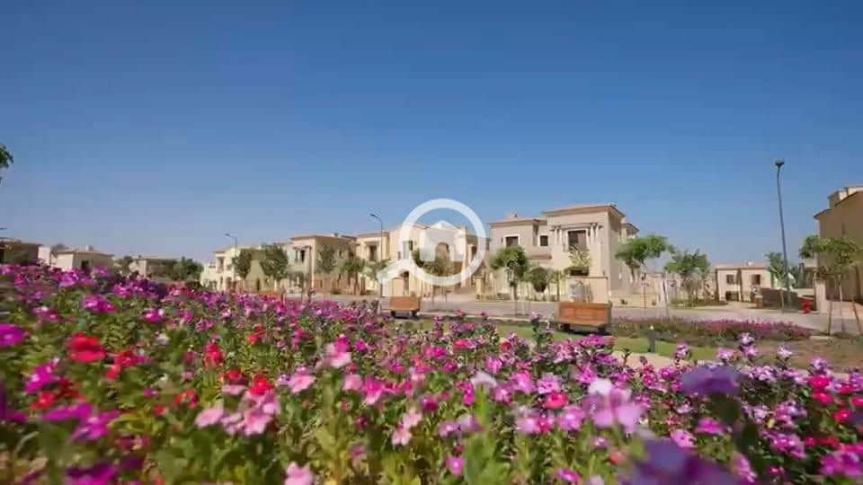 11 574483909_2973993152950249_5535362614515014372_n. jpg