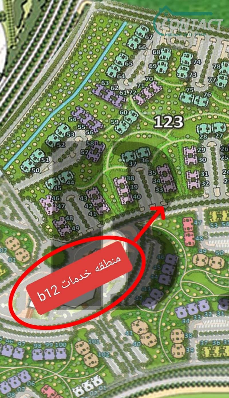 11 608528431_1166387732332603_1833375738375581307_n. jpg