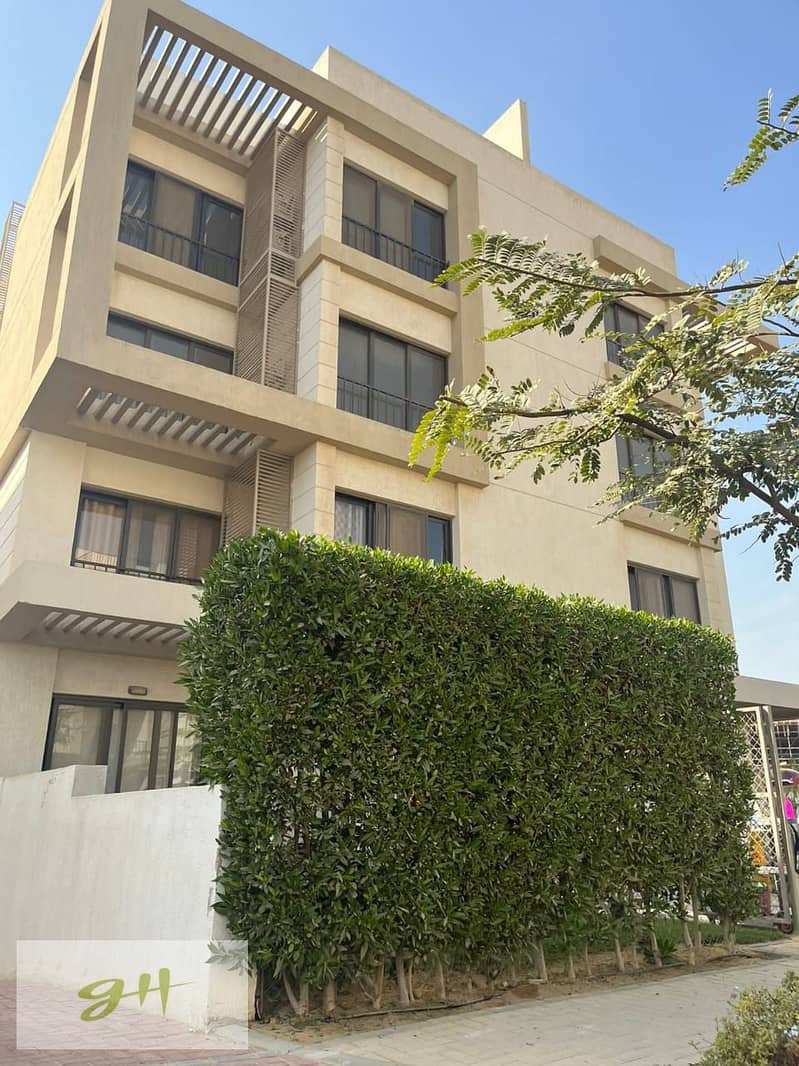 3 8be13024-c40d-4695-8e9c-6582b77377f5. jpg