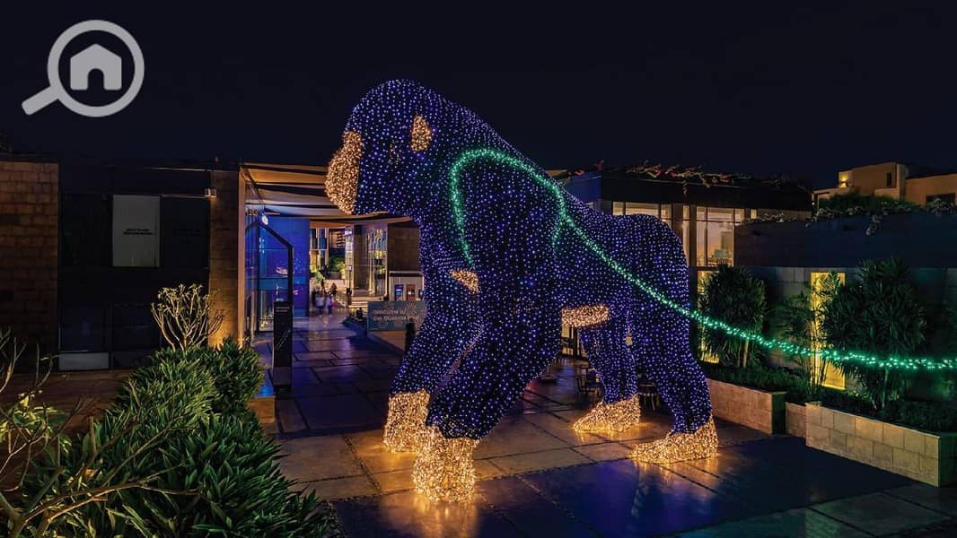 6 3400ddf91f0944e388a7317b9444a7f5. jpg