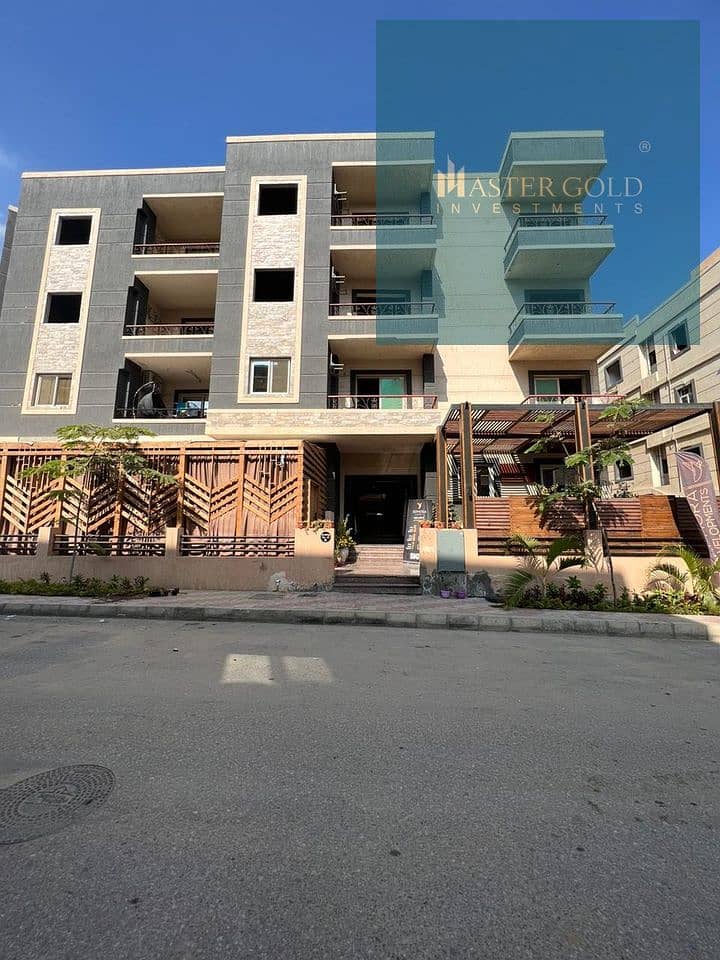 11 486617978_668922899402886_9067387333099181808_n. jpg