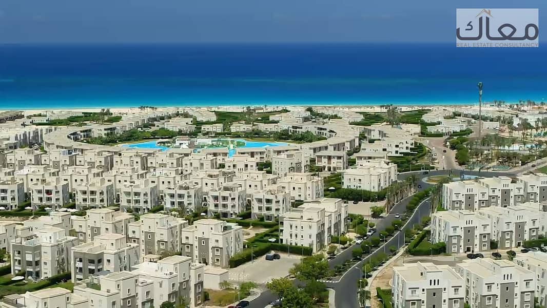 8 955b375a-8b88-4802-ac1f-1de17af24ad1. jpg