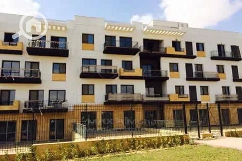 3 WhatsApp Image 2025-09-28 at 3.03. 48 PM. jpeg