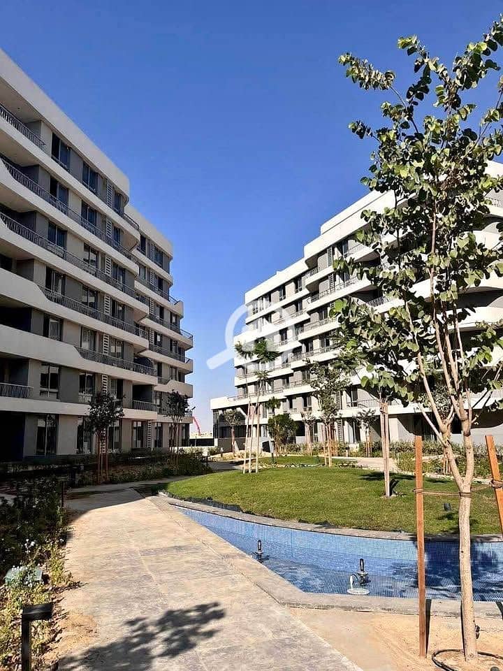 4 600269456_1380791610444540_253161629890204505_n. jpg