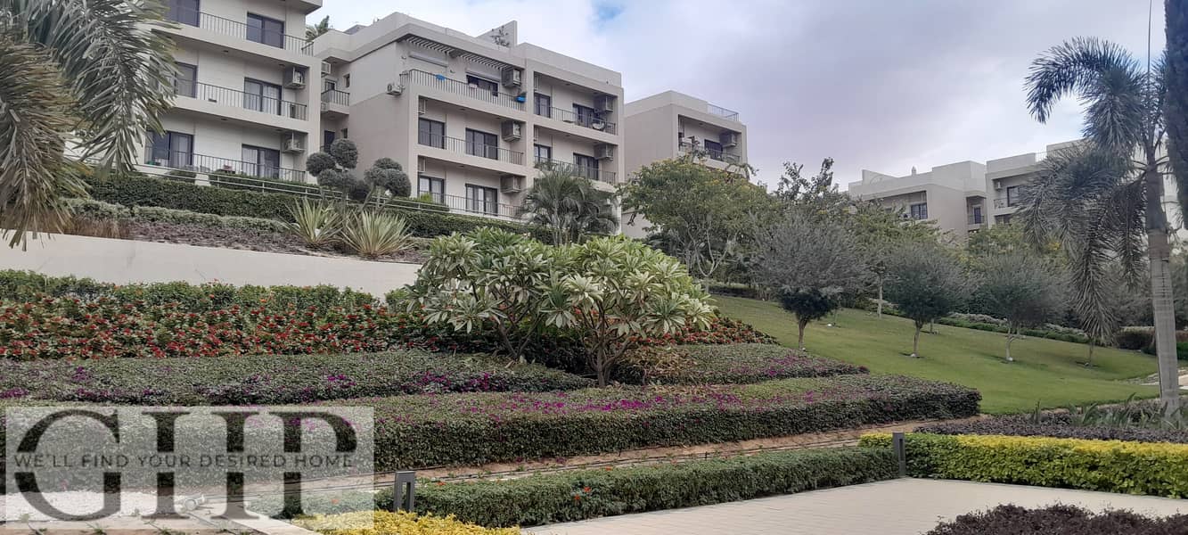 5 20251229_142444. jpg