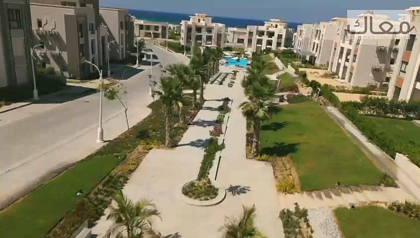 8 52fc2889-e0ef-43b0-b369-f0c00d39e92d. jpg